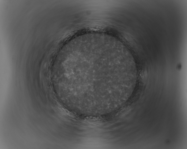 X0000116570817200912311951