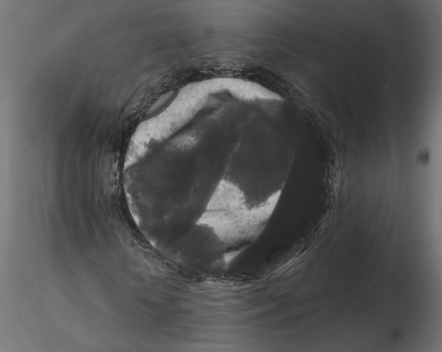 X0000116570818200912311951