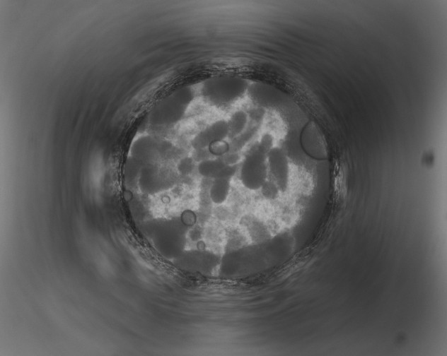 X0000116570819200912311951