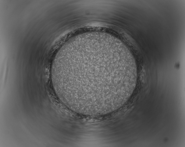 X0000116570821200912311951