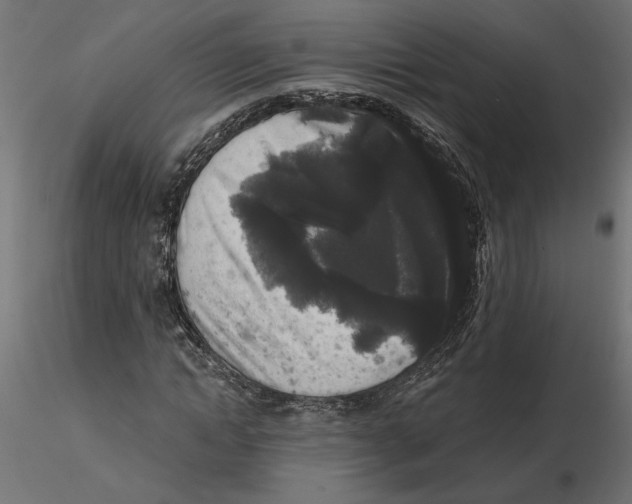 X0000116570822200912311951