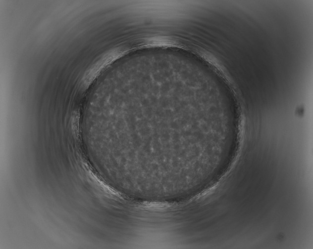 X0000116570825200912311951