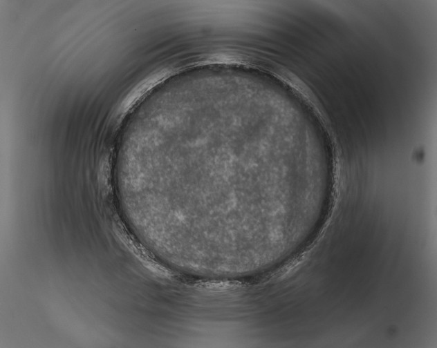 X0000116570826200912311951