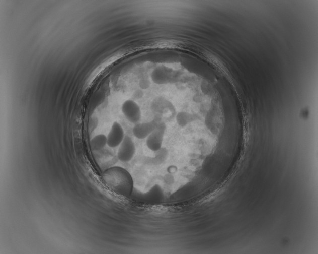 X0000116570827200912311951