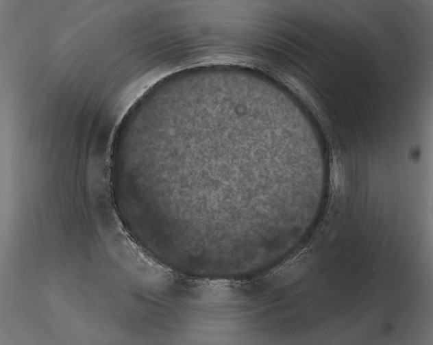 X0000116570828200912311951