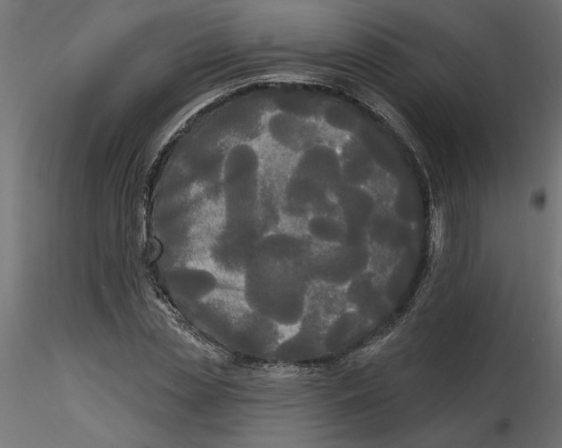 X0000116570829200912311951