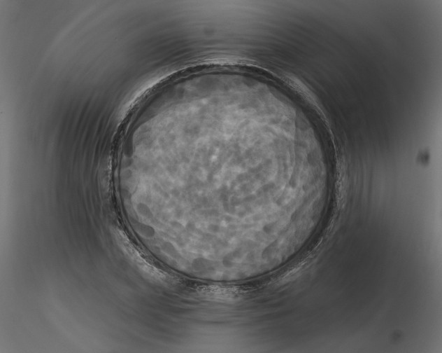 X0000116570831200912311951