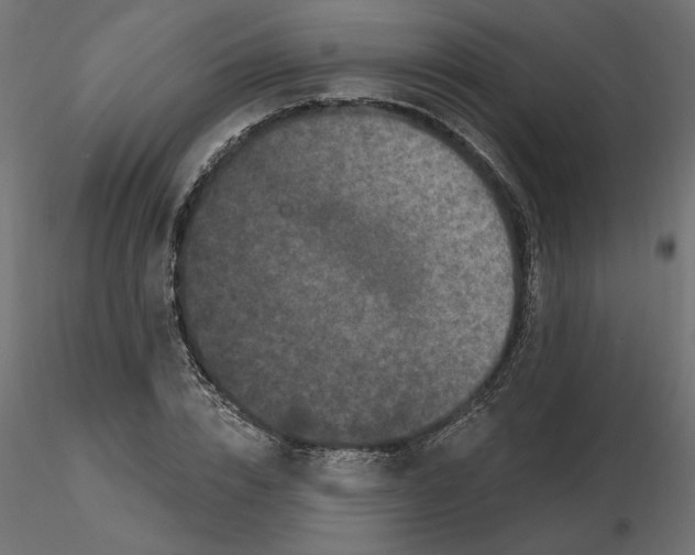 X0000116570832200912311951