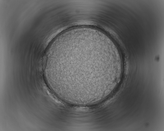 X0000116570833200912311951