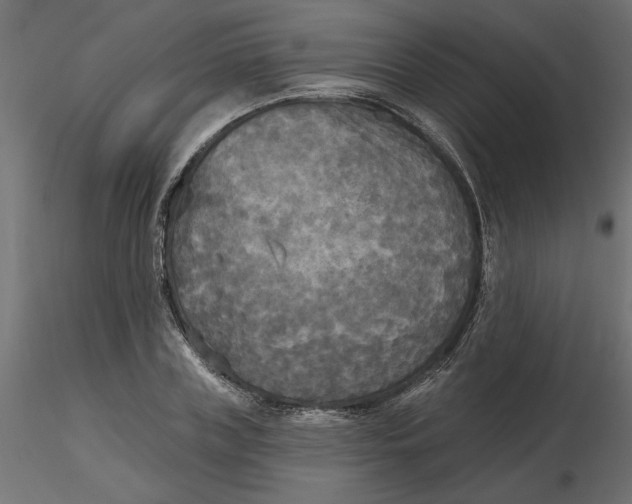 X0000116570835200912311952