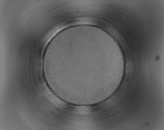 X0000116570836200912311952