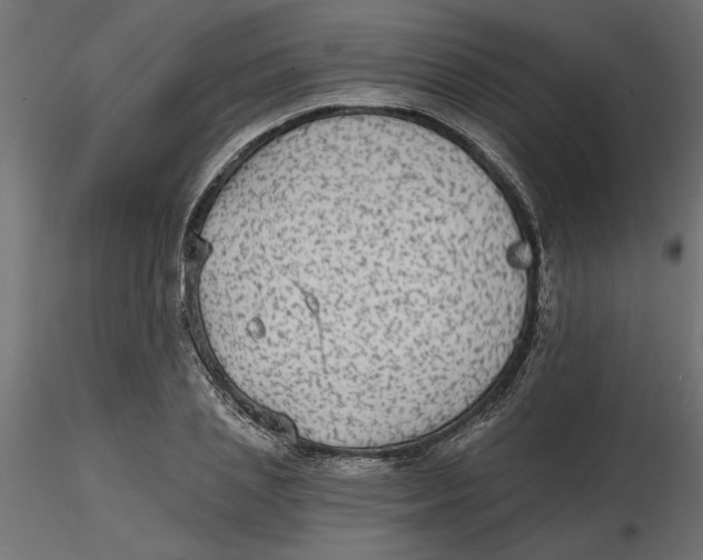 X0000116570837200912311952