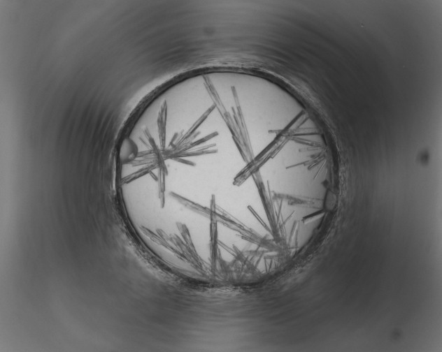 X0000116570838200912311952