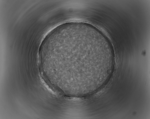 X0000116570839200912311952