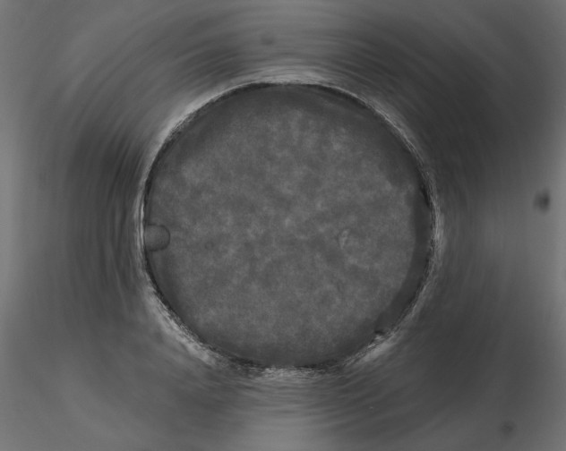 X0000116570840200912311952