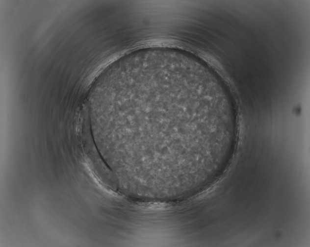 X0000116570841200912311952