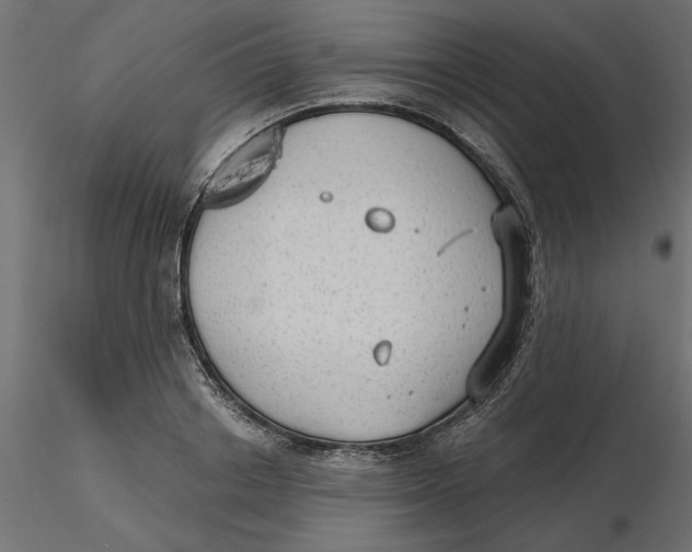 X0000116570842200912311952