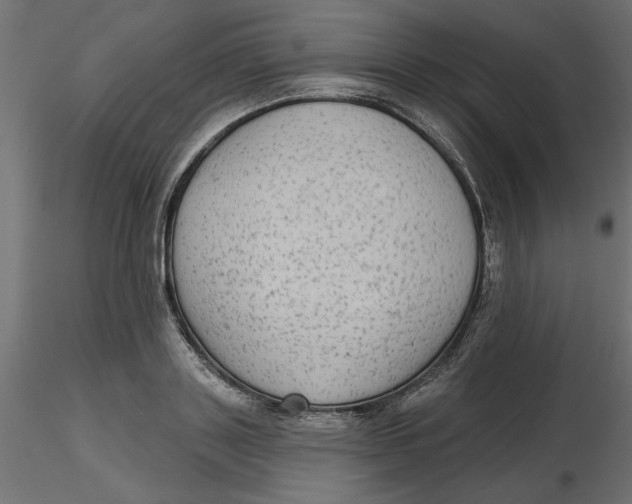 X0000116570843200912311952