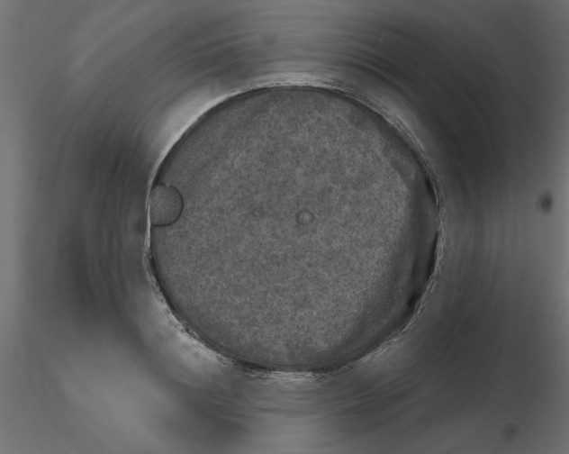 X0000116570844200912311952