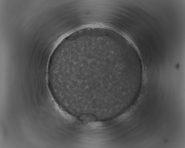 X0000116570845200912311952