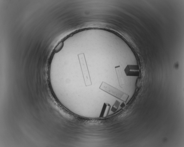 X0000116570846200912311952