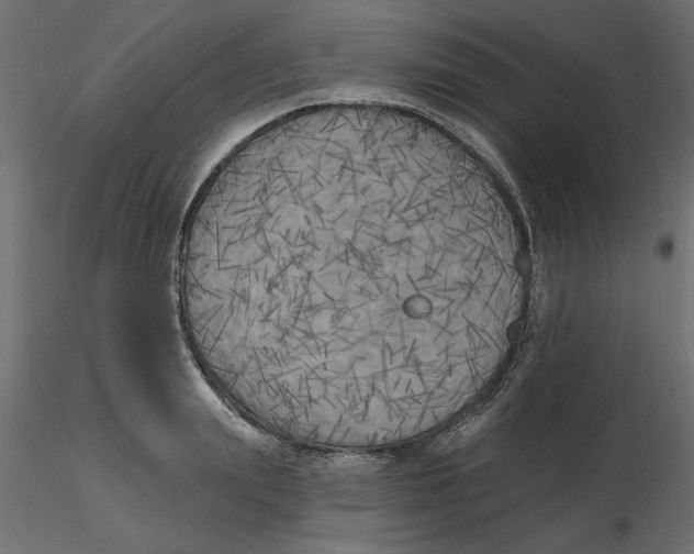 X0000116570847200912311952