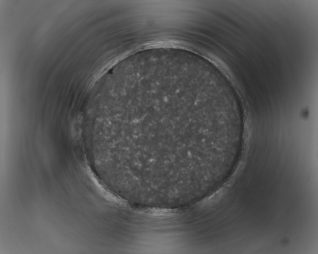 X0000116570849200912311952