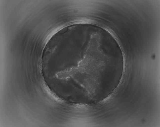 X0000116570850200912311952