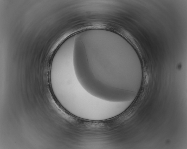 X0000116570851200912311952