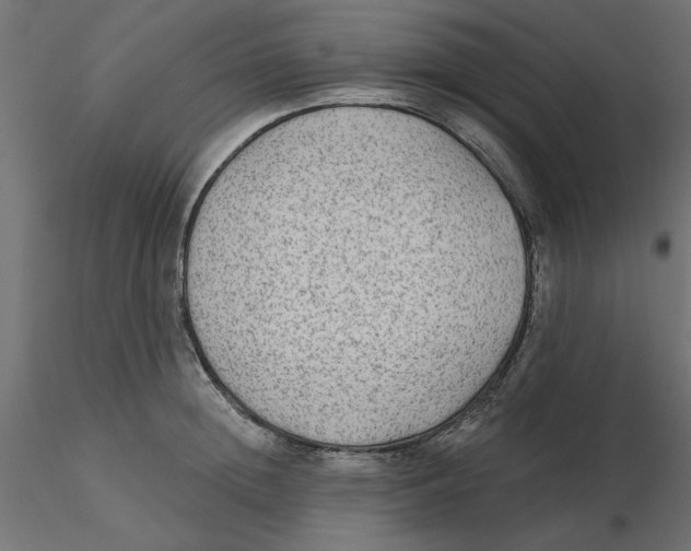 X0000116570852200912311952