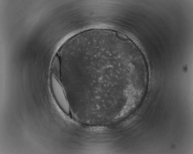 X0000116570853200912311952