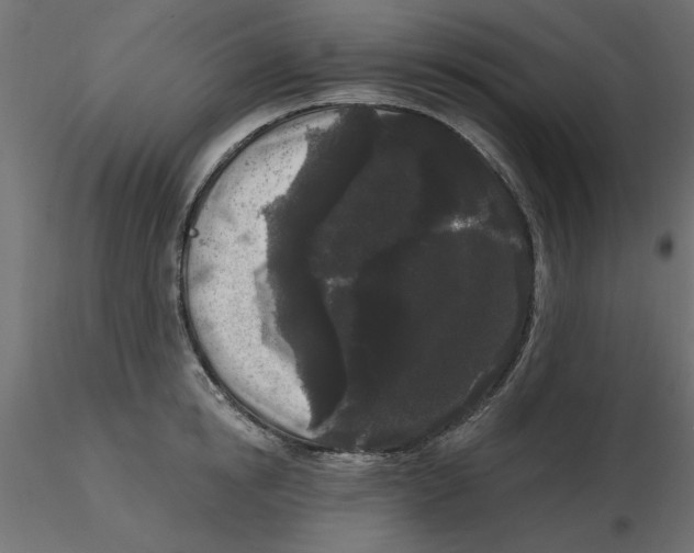 X0000116570854200912311952