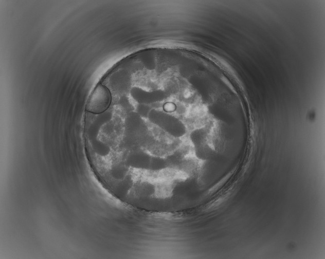 X0000116570855200912311952