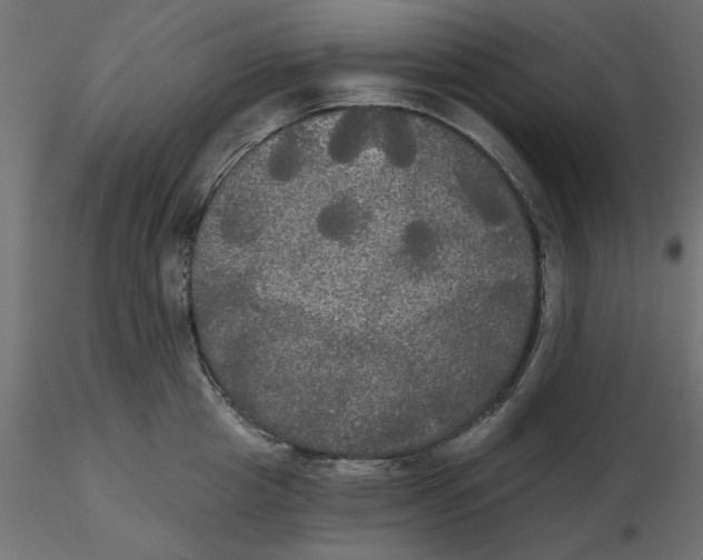 X0000116570857200912311952