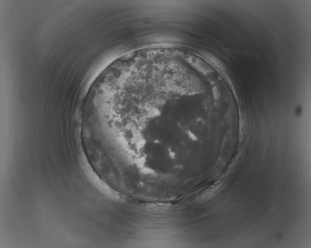 X0000116570859200912311952