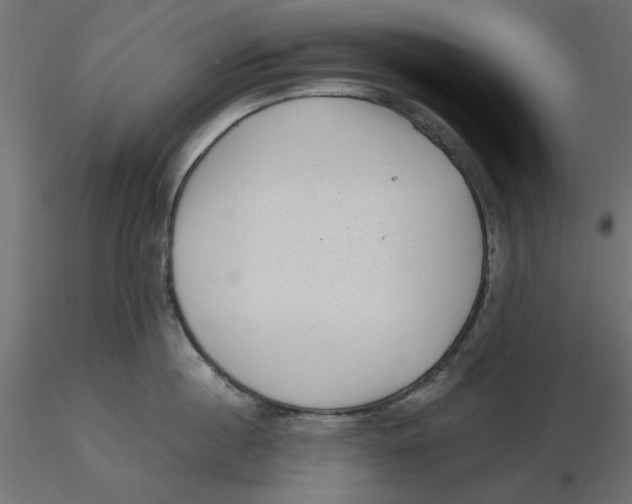 X0000116570860200912311952