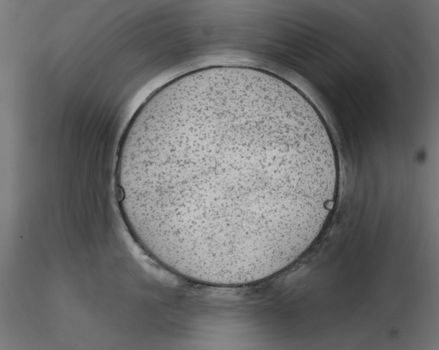 X0000116570861200912311952