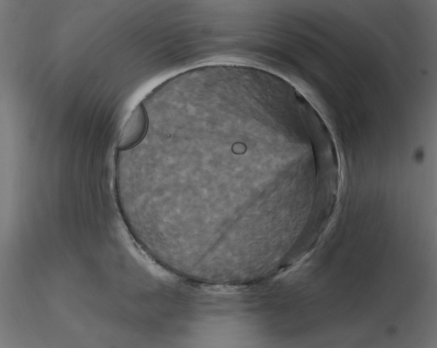 X0000116570862200912311952