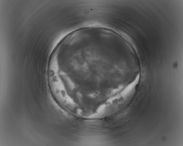 X0000116570863200912311952