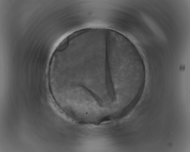 X0000116570864200912311952