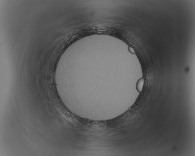 X0000116570865200912311951