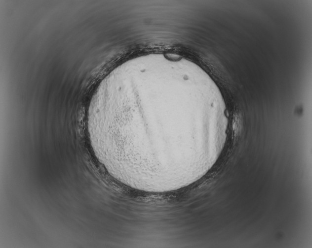 X0000116570867200912311951