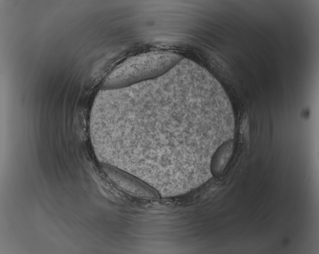 X0000116570868200912311951