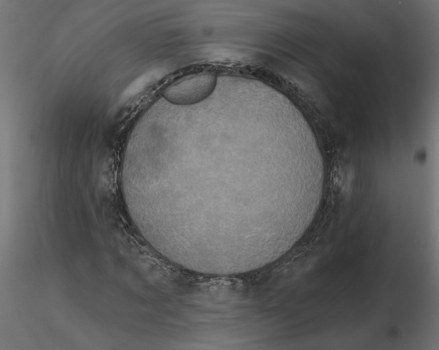 X0000116570869200912311951