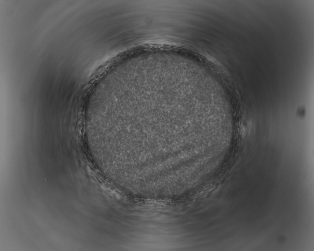 X0000116570870200912311951