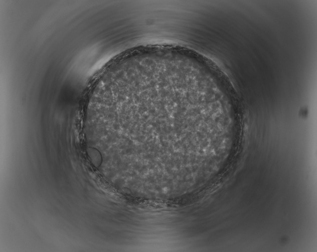 X0000116570871200912311951