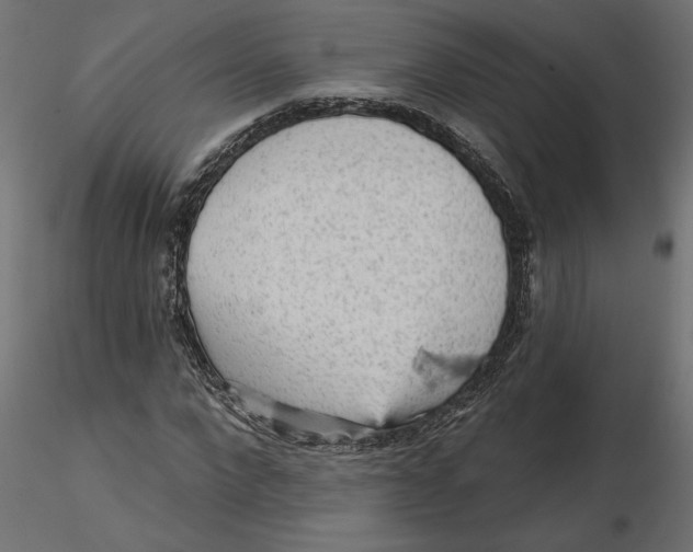 X0000116570872200912311951