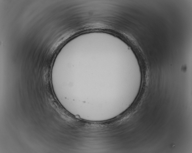 X0000116570873200912311951