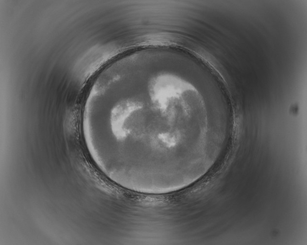 X0000116570874200912311951