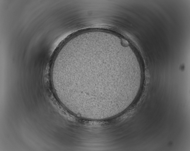 X0000116570875200912311951